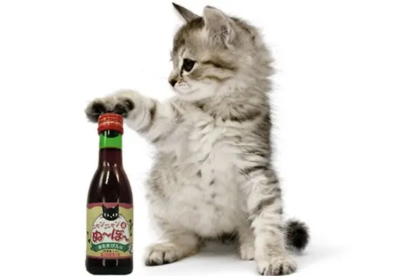 Sale al mercado vino exclusivo para gatos