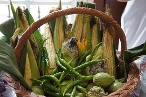 Delegación Tláhuac albergará la XX Feria del Maíz y el Elote