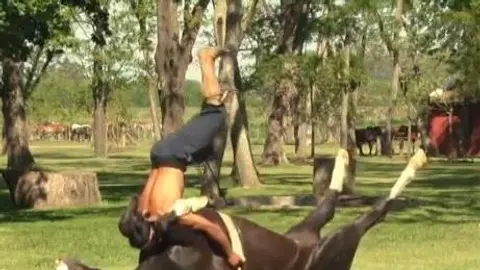 Yoga para relajar a los caballos