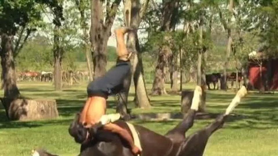 Yoga para relajar a los caballos