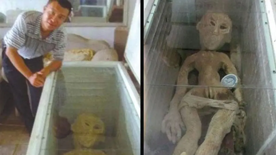 Detienen hombre por fingir que tenía un alien refrigerado
