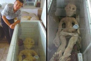 Detienen hombre por fingir que tenía un alien refrigerado