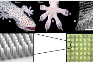 Z-Man, el material que se adhiere a las paredes