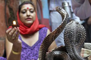 A las serpientes en su día...