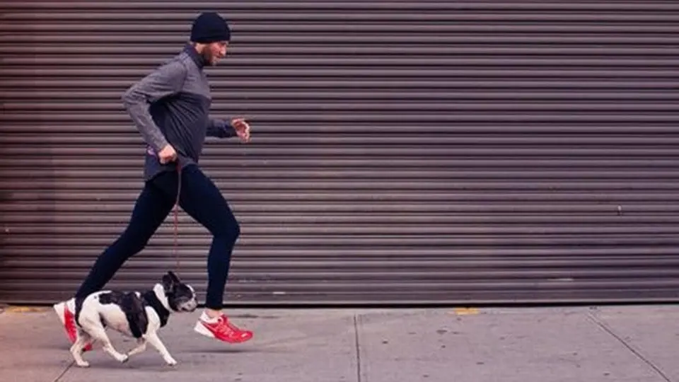 Correr con tu perro, una gran experiencia