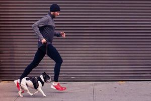 Correr con tu perro, una gran experiencia