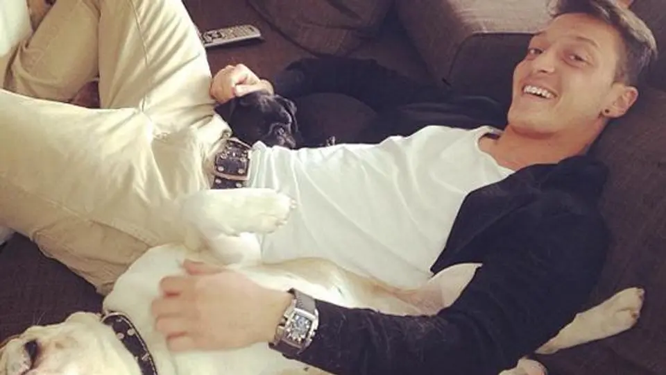 Mesut Özil, amante de las mascotas