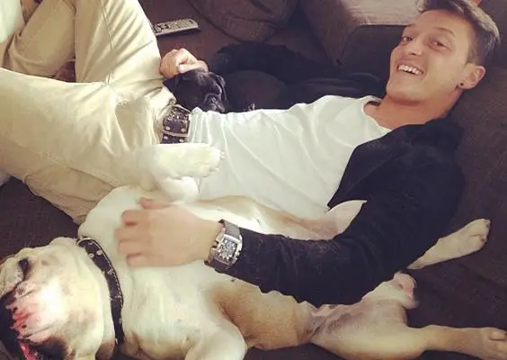 Mesut Özil, amante de las mascotas