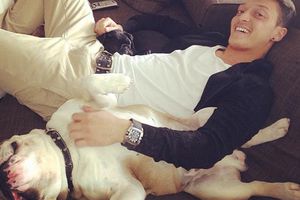 Mesut Özil, amante de las mascotas