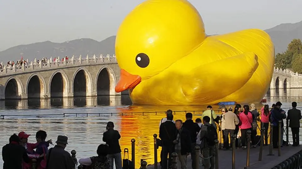 Ni cómo hacerse 'pato'...