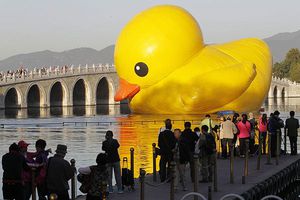 Ni cómo hacerse 'pato'...