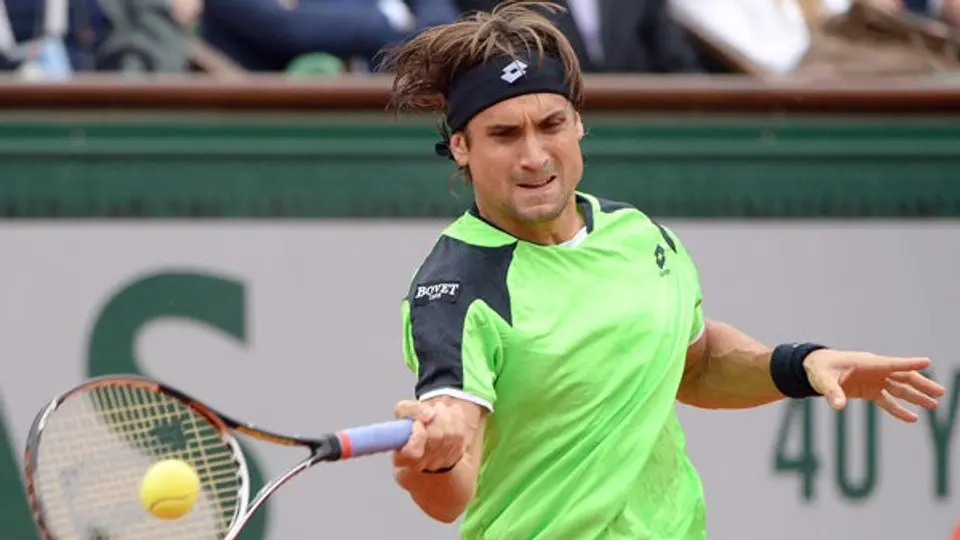 'Quiero felicitar a Rafael. Es el mejor': David Ferrer