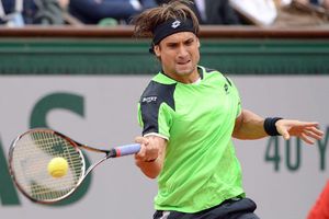 'Quiero felicitar a Rafael. Es el mejor': David Ferrer