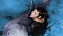 Amor imposible; delfín se enamora de una mujer