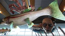 Gollum, la atracción principal del aeropuerto de Wellington