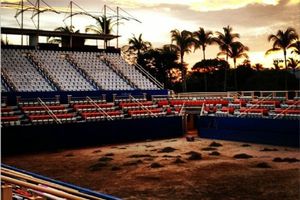 Abierto Mexicano cambiará de superficie en 2014