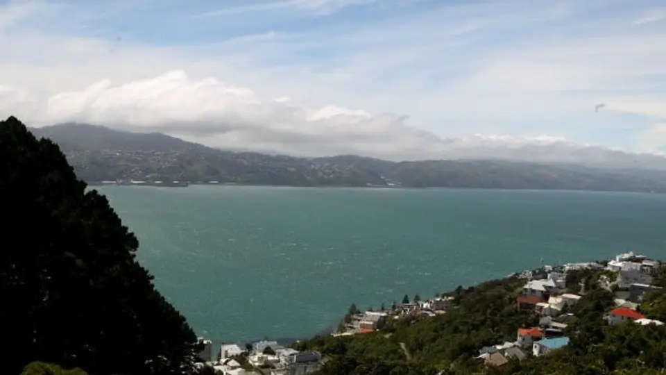 Monte Victoria, un mirador para contemplar Wellington