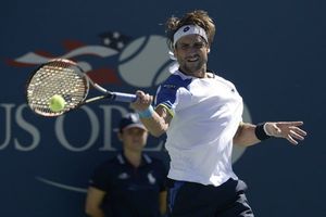 "Me faltó chispa, me faltó tirar un poco más": David Ferrer