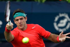 Del Potro, baja del Indian Wells por lesión