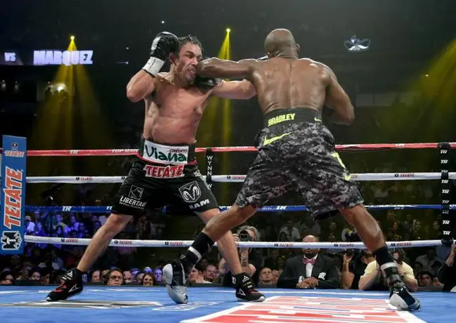 Revancha Márquez vs. Bradley ya tiene fecha