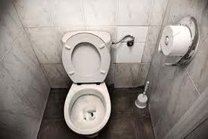 Designa ONU el 19 de noviembre como Día Mundial del Inodoro