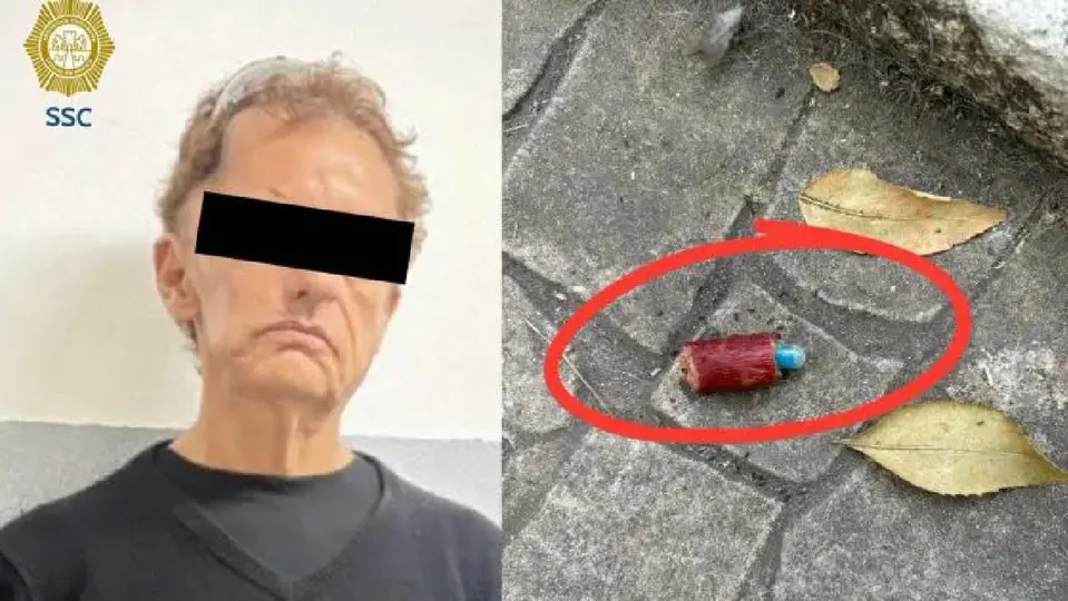 La FGJCDMX continúa integrando las pruebas relacionadas con la muerte de al menos cuatro perros / Especial