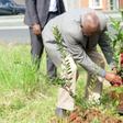 Athletics Kenya Unveils Major Environmental Sustainability Initiative