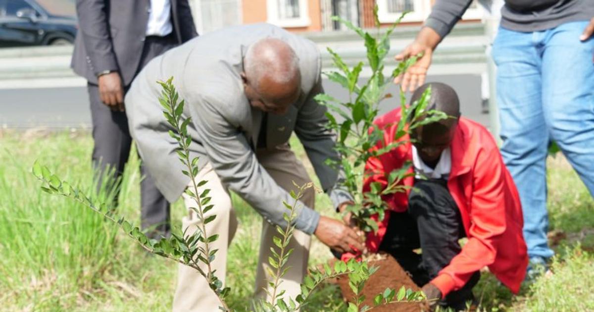 Nairobi City Marathon 2026: Athletics Kenya Unveils Major Environmental  Sustainability Initiative | Pulse Sports Kenya