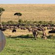 AFCON 2027: Tanzania Plan Unique Experience with Training Camps Inside National Parks