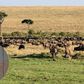 AFCON 2027: Tanzania Plan Unique Experience with Training Camps Inside National Parks