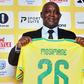 Pitso Mosimane Backed to Outdo Hugo Broos and End Bafana Trophy Drought