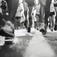 World Athletics Stands Firm on Belarus Ban Despite IOC Push for Reinstatement