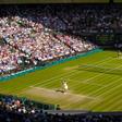 2026 Wimbledon Betting: What Live Tennis Odds Reveal During Matches
