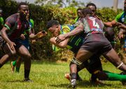 Kenya Cup: KCB inflict more misery on Kenya Harlequin as Kabras Sugar brush aside Black Blad