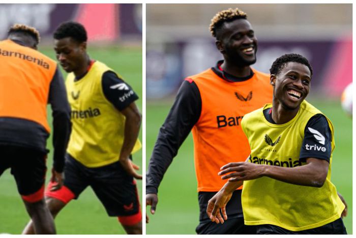 Nigeria stars || Pulse Sports