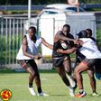 Stellenbosch training camp will shape and fine-tune Cranes