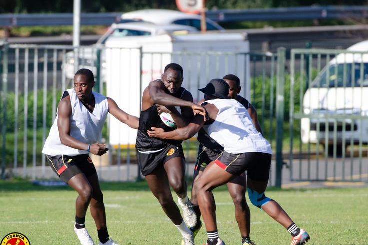 Stellenbosch training camp will shape and fine-tune Cranes