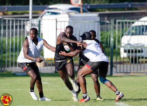 Stellenbosch training camp will shape and fine-tune Cranes