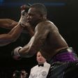 After the fight Jermaine Franklin fight, Dillian Whyte wants Anthony Joshua.