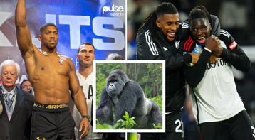 100 men vs 1 Gorilla: Super Eagles stars call on Anthony Joshua to help humanity