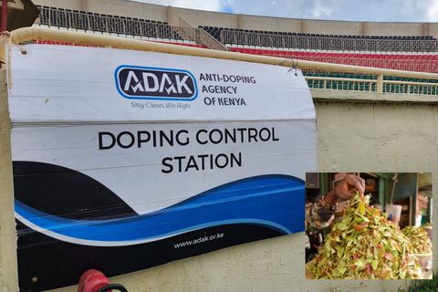 Anti-Doping Agency of Kenya to athletes: ‘Chew muguka at your own risk’