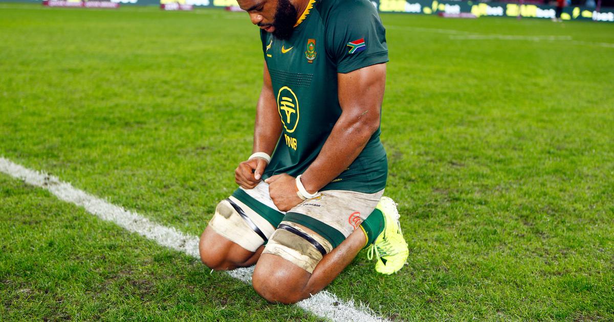 Pulse Sports Rugby Star of the Week: South Africa's Congolese-Born ...