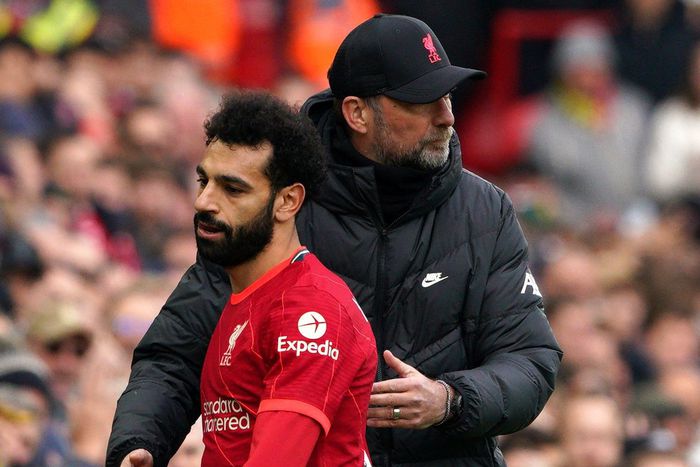 Mohamed Salah loses out to Van Dijk in race for Liverpool captaincy | image by the Telegraph.co.uk