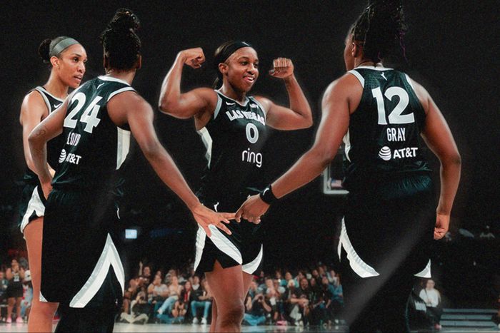 The Las Vegas Aces took out the Indiana Fever to book a place in the WNBA Final against the Phoenix Mercury.