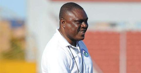 Kano pillars, Vandrezzer named coach ahead of NNL season