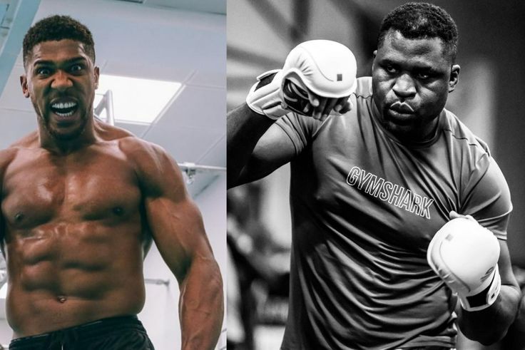 Francis Ngannou should fight Anthony Joshua - Hearn