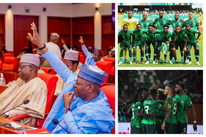 Nigerian senators to storm Abidjan for Super Eagles clash