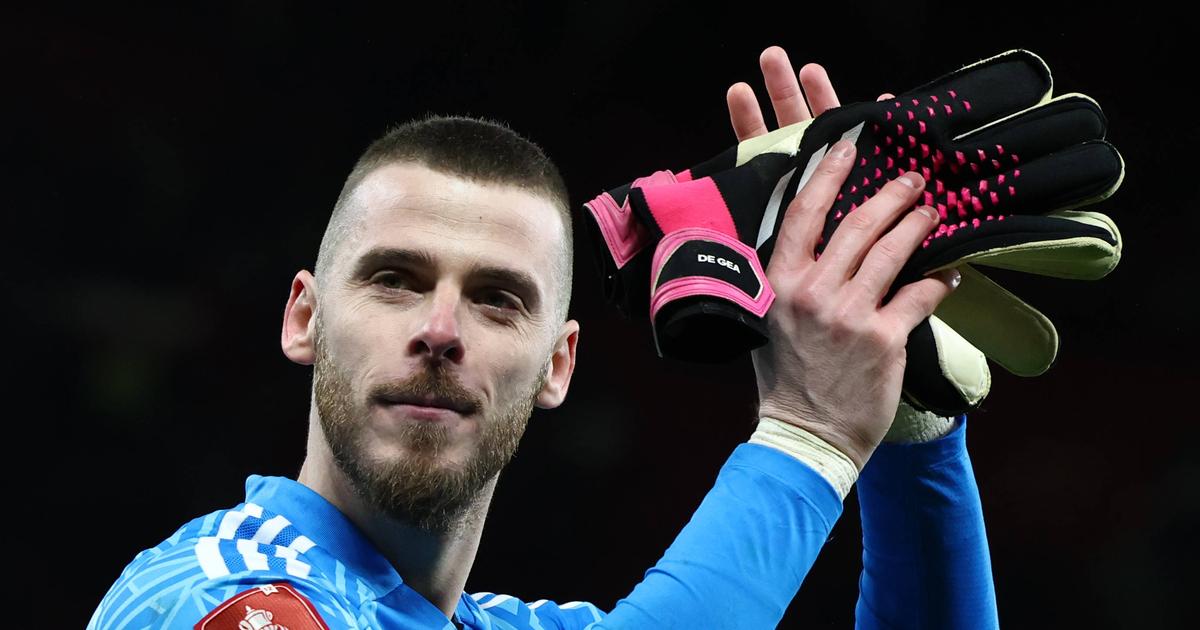 Manchester United legend wants David Raya to replace David De Gea ...