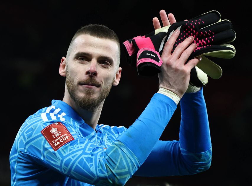 Manchester United legend wants David Raya to replace David De Gea ...
