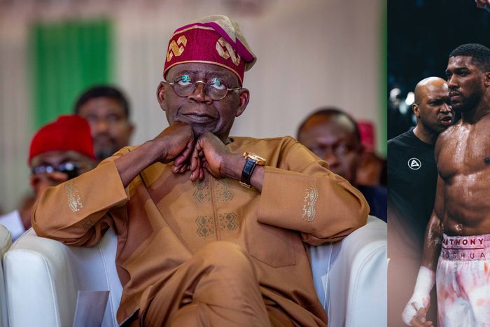 President-elect Bola Tinubu congratulates Anthony Joshua on victory against Jermaine Franklin